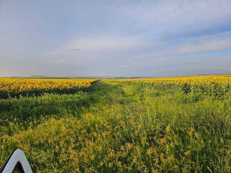 8 Bedroom Property for Sale in Bethlehem Rural Free State